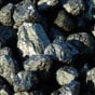 В первом квартал ожидается импорт 6 миллионов тонн угля - Шмыгаль