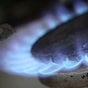 Минагрополитики обнародовало список производителей, которые будут получать газ с ограниченной наценкой
